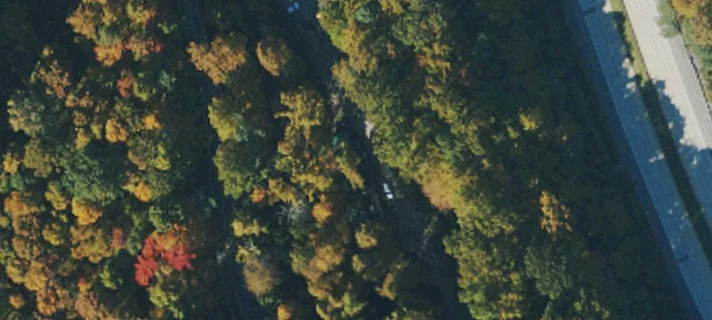 Elkins, WV 26241
