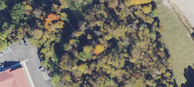 Mccutcheon Rd