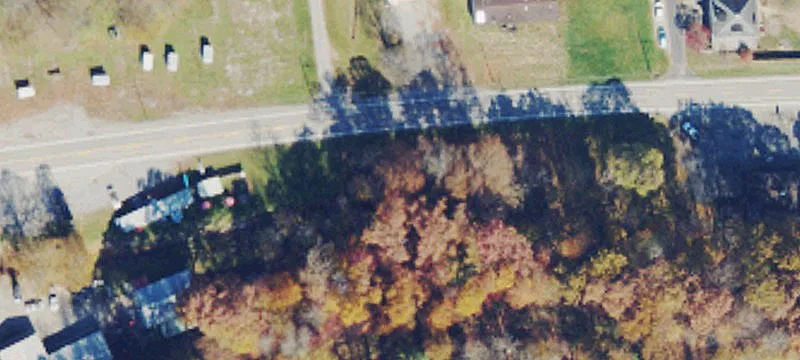 Us Hwy 19