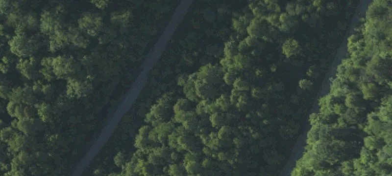 Rte 49