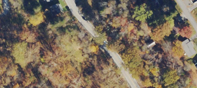 Greentree Dr
