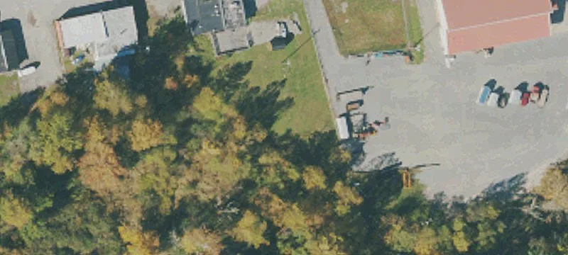 Elkins, WV 26241