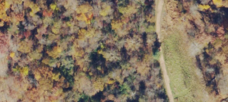 Hitchcock Run