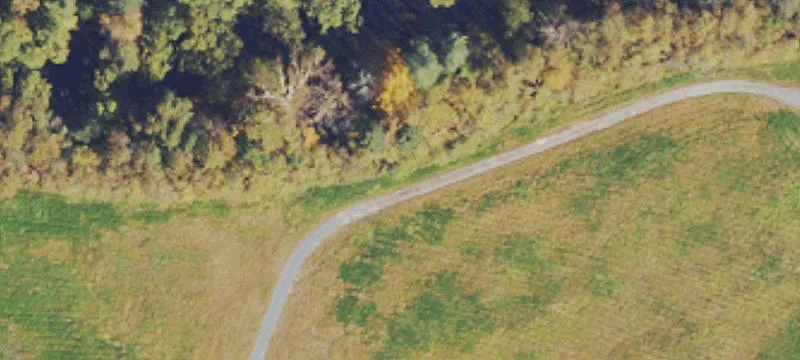Rte 19