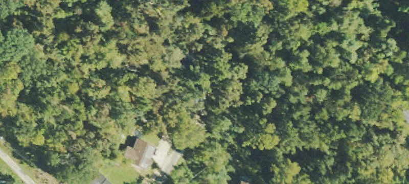 1544 Locust Ln