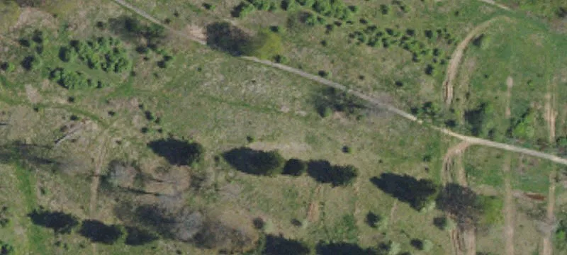 Culler Rd