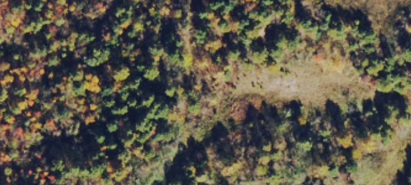Bickmore, WV 25019