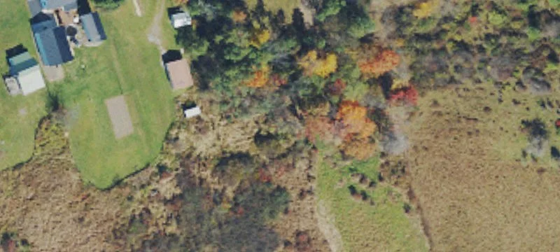 Rte 50