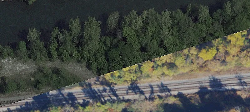Waxler Rd