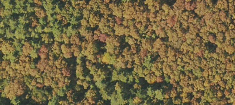 Thorney Crk, WV