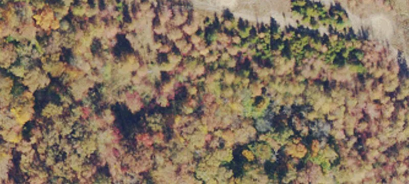 Clay, WV 25043