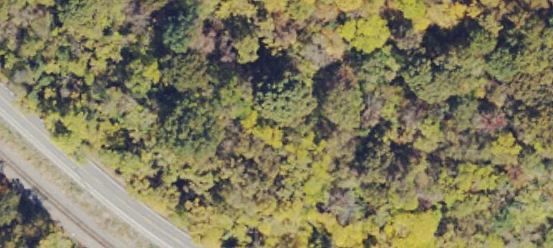 State Rd 62