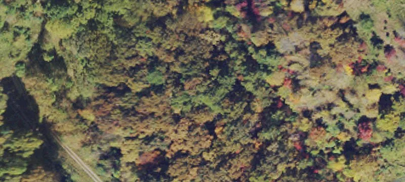 Julian, WV 25529