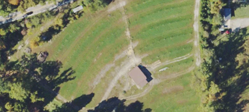  St