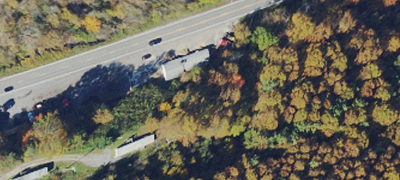 3280 Chicory Rd