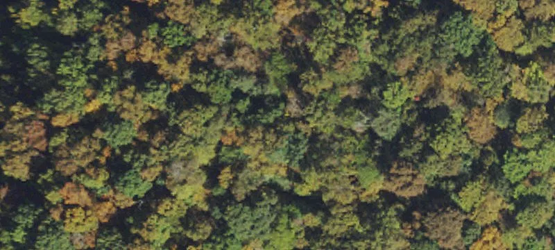 Rte 10