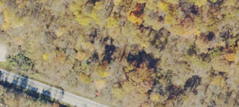 Rt 50th Over 30