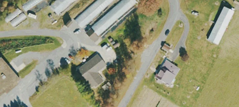 Petersburg Rd
