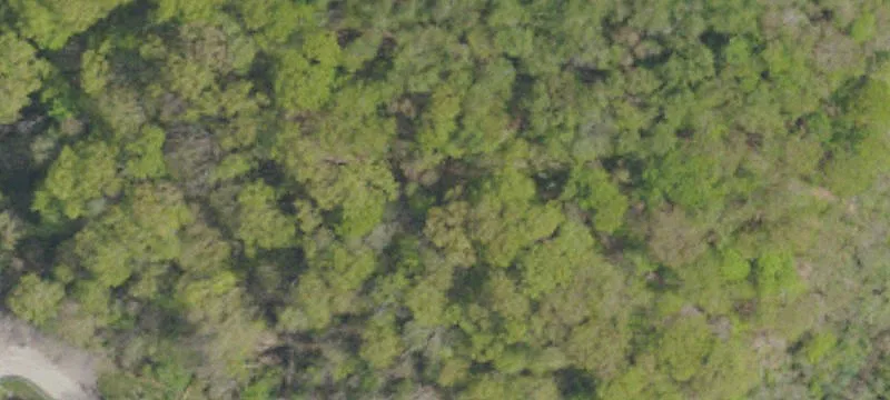 Rte 100