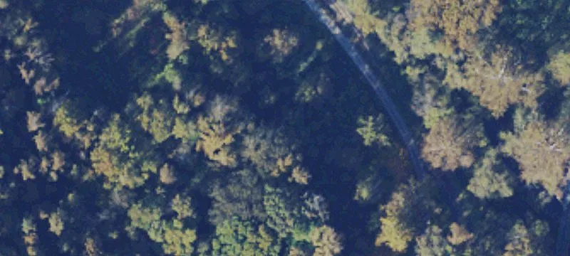 C O Rd