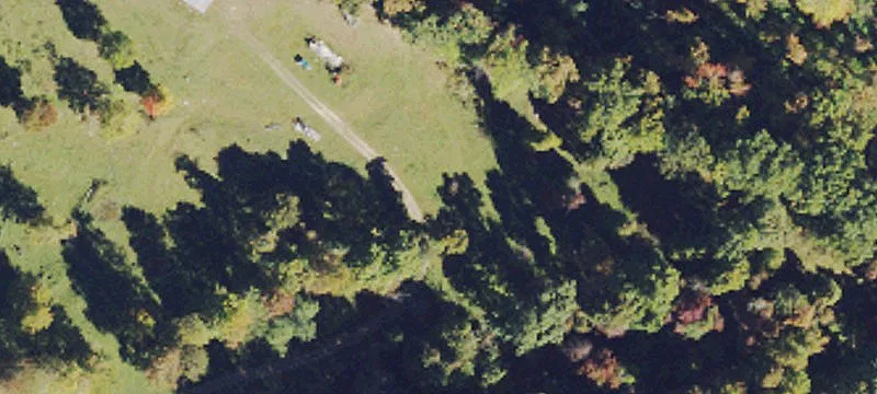 Surveyor