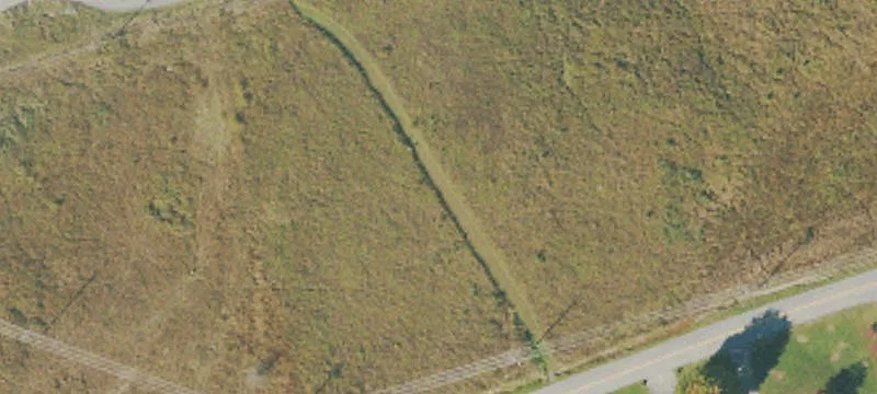 Wilson Ln