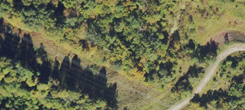 Blue Lick Rd