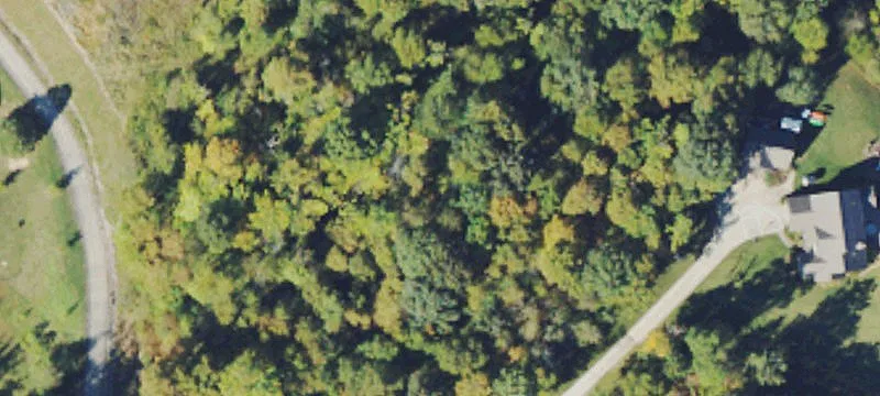 Henderson Woods