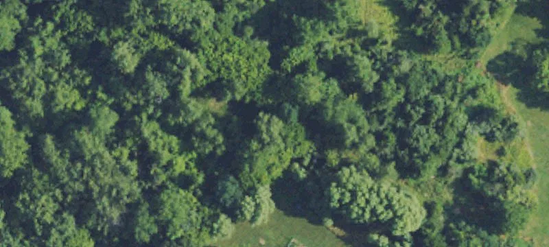 Panorama Ct