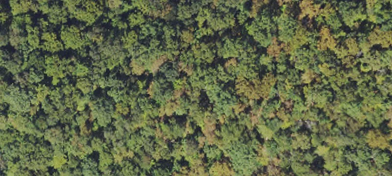 Raysal, WV 24879