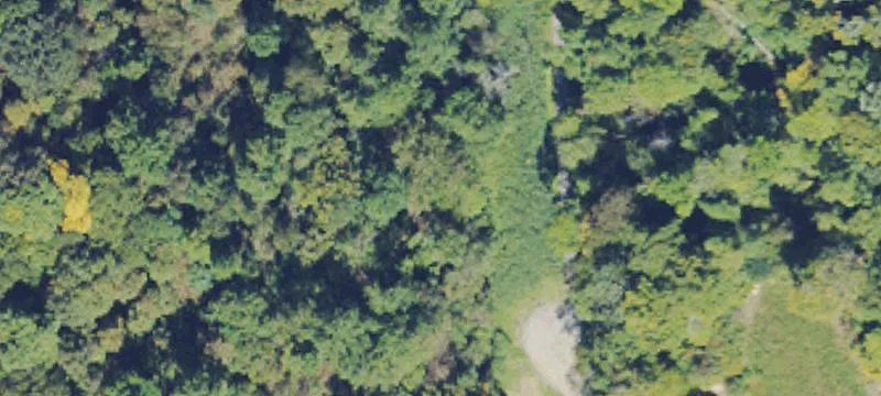 Logan, WV 25601