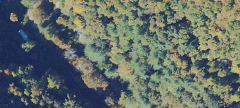 1137 Wolf Crk Rd