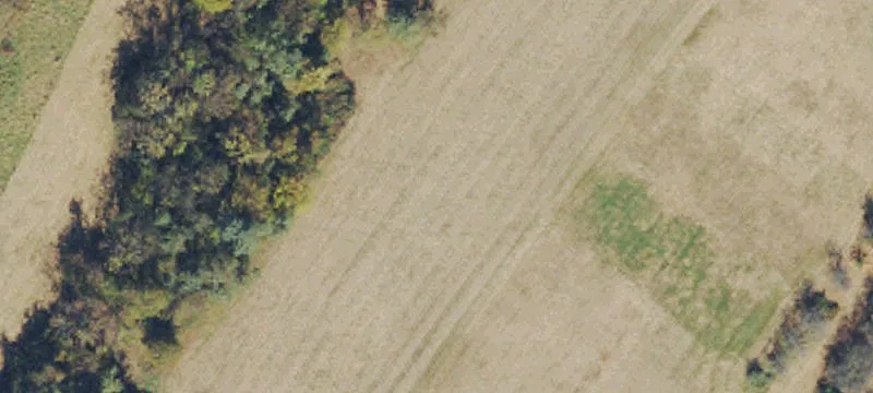Lirdale Farm Ln