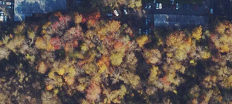 Rt 50