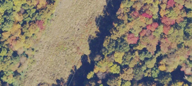 Pallottine Dr