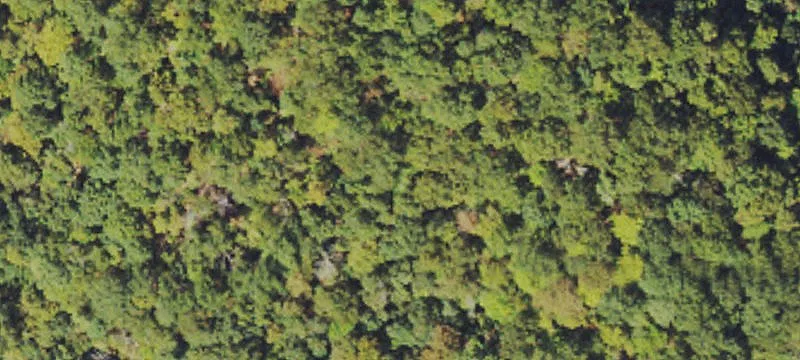Raysal, WV 24879