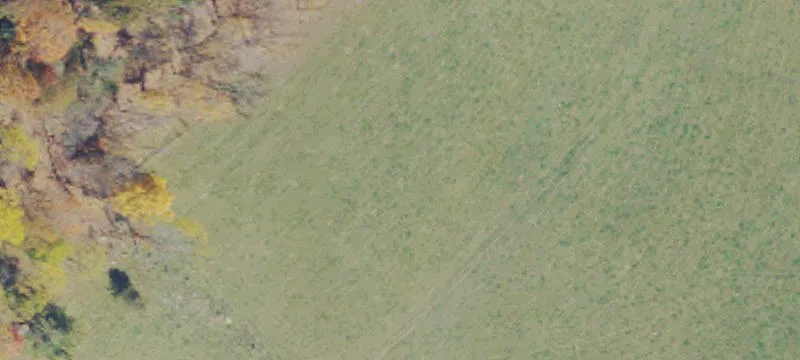 Maysville, WV 26833