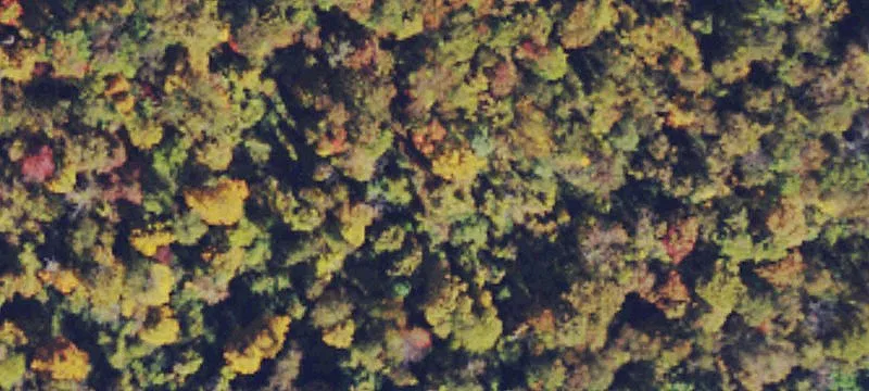  Route