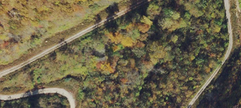 Toneys Branch