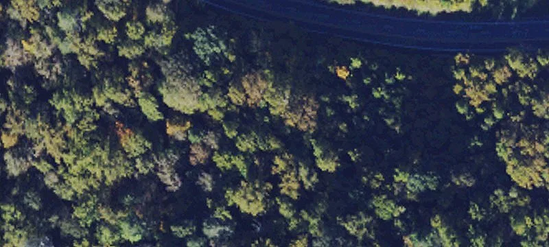 Welch, WV 24801