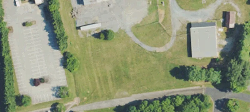Maple Tree Dr
