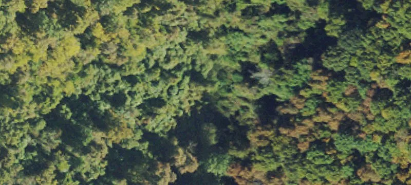 Moss Dr