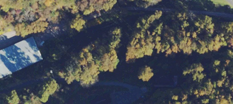 Ns Elk