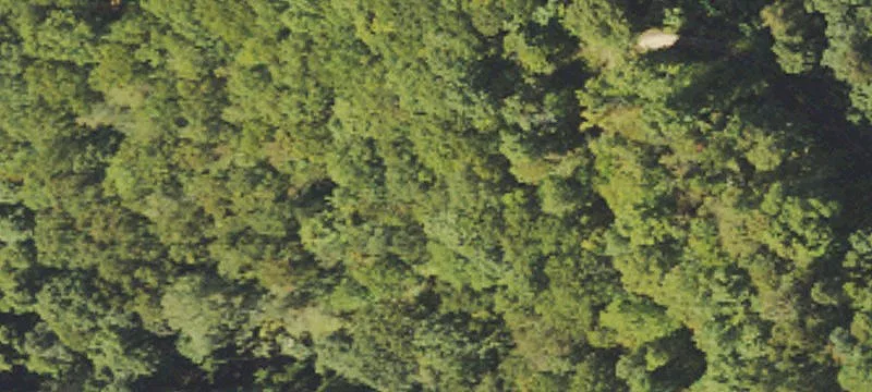 Raysal, WV 24879