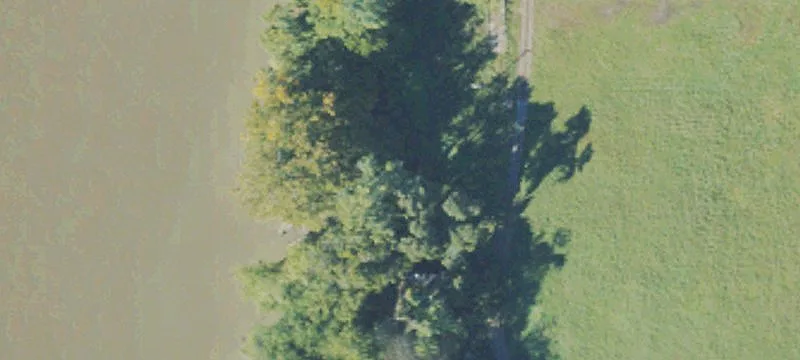 Sycamore Ln