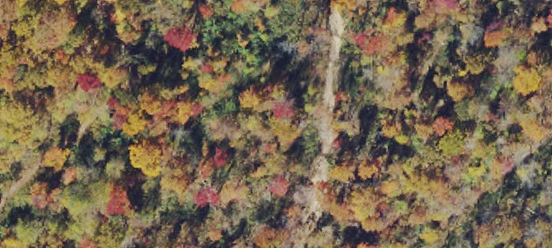 Coal River