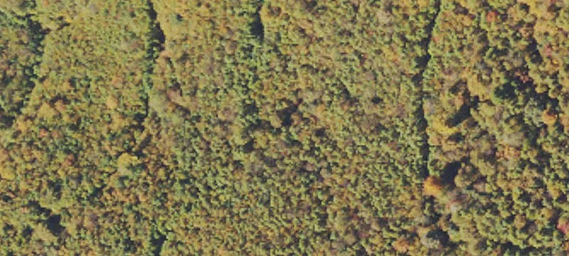 Rte 20