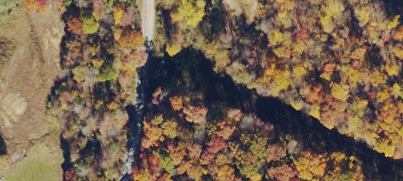 Morgan Mine Rd