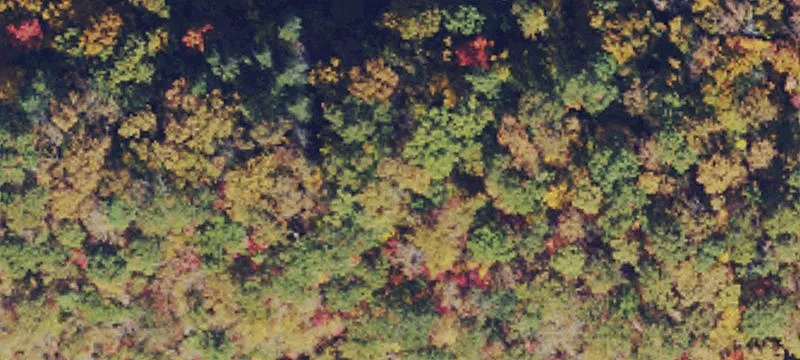 Julian Rd, WV 