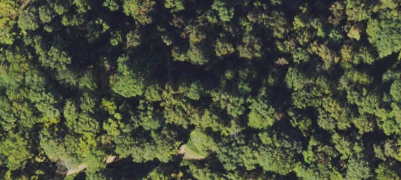 Raysal, WV 24879